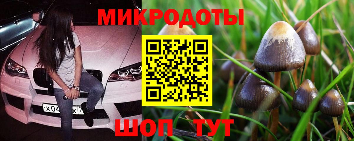 Галлюциногенные грибы Psilocybine cubensis Верхняя Пышма